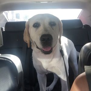 Meet your Posher, Crystal